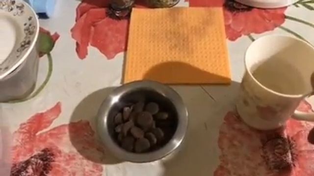Как размачивать корм смотреть онлайн