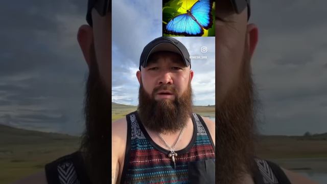 Бурят Калмык Монгол Увэр Монгол Mongol, Inner Mongolia Buryat Kalmyk