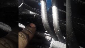 Ford Transit 2.4  Duratorq Puma не заводится. Сгорает предохранитель и реле свечей накала.