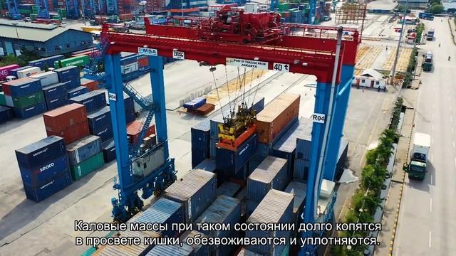 Запор у кота или кошки: что делать? смотреть онлайн