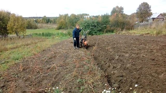 Пашем мотоблоком картофельник. Лена пробует пахать.Впечатления о пахоте. смотреть онлайн