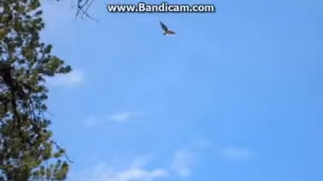 Грустный стих - Куда уходят родные * Если хорошее настроение - Не смотреть! * смотреть онлайн