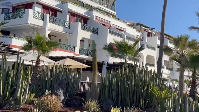 Mergem împreună la plimbare prin Tenerife! De acasa pana la stanca lui Stefan si inapoi! смотреть онлайн