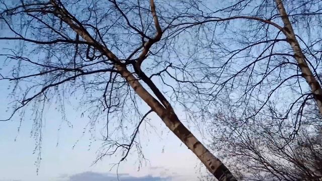 VID 20220504 210156 Странник (Н .Гумилёв)...Павел Васильев Лахтинский смотреть онлайн