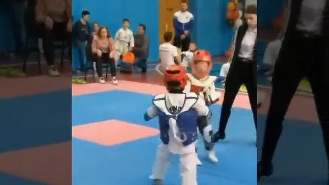 Спиннинги смотреть онлайн