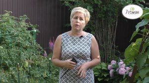 ПОЧЕМУ ПОМИДОРЫ ВНУТРИ ЖЕСТКИЕ И БЕЛЫЕ, И ЧТО С ЭТИМ ДЕЛАТЬ!