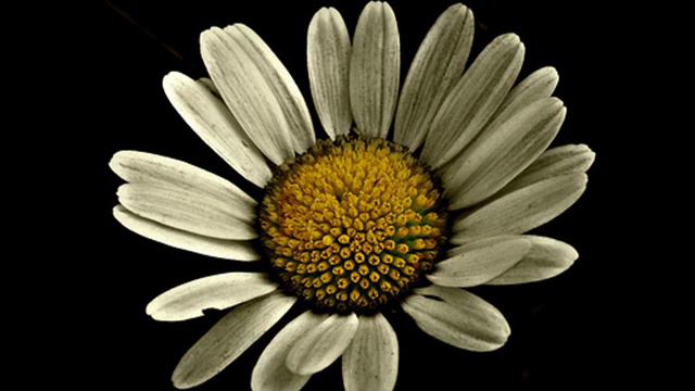 John Digweed - Torch (Extrawelt Remix) смотреть онлайн