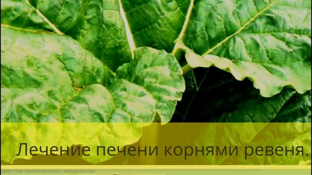 Замечательный рецепт лечения печени. смотреть онлайн