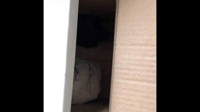 Помог чем мог стрижу, который попал в беду смотреть онлайн