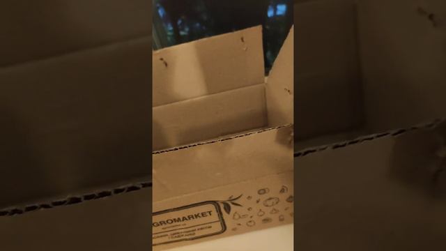 Отзыв об Агромаркете 🌸 смотреть онлайн