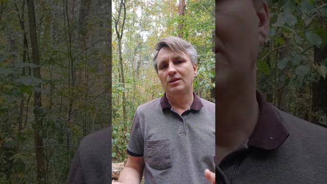 Что такое просветление и как происходит просветление