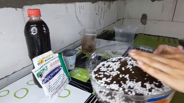 ГРУНТ ДЛЯ ФИАЛОК.Состав для фитильного полива. Фиалки от листочка до цветочка.Путь новичка 20 смотреть онлайн