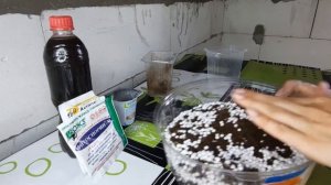 ГРУНТ ДЛЯ ФИАЛОК.Состав для фитильного полива. Фиалки от листочка до цветочка.Путь новичка 20