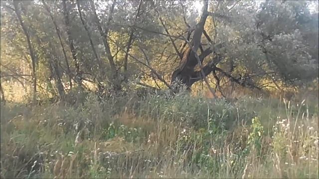 Терра 305 КОП СОВЕТОВ! Terra 305 CPC tips! смотреть онлайн