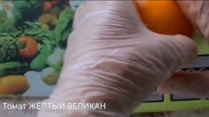 Биф томат Жёлтый Великан -мой опыт выращивания.