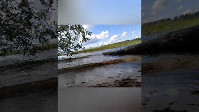 Валдайский национальный парк смотреть онлайн