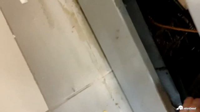 Плесень и грибы в холодильной витрине. смотреть онлайн