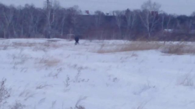 Саммит 800 p-tec смотреть онлайн