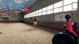 Верховая езда / КОНОБЛОГ/ Как проходит занятие