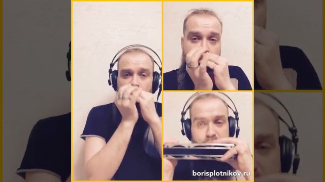 Trio harmonica improvisation by Boris Plotnikov смотреть онлайн