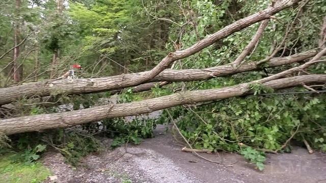 09-14-2021 Millville, PA - Home Destroyed, Many Trees & Power Lines Down In Path Of Destruction смотреть онлайн
