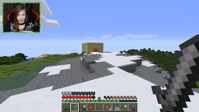 ПРОФЕССИОНАЛ В ДЕЛЕ! [Прохождение Minecraft Без Модов] №1 смотреть онлайн