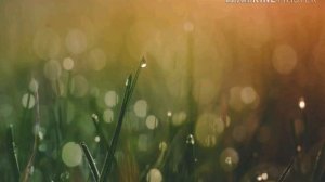 Караоке.Я б уплыла в океан.