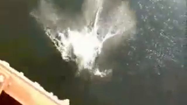 прыжки в воду смотреть онлайн