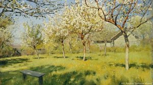 Диктант 6 класс 3 четверть «Птицы»