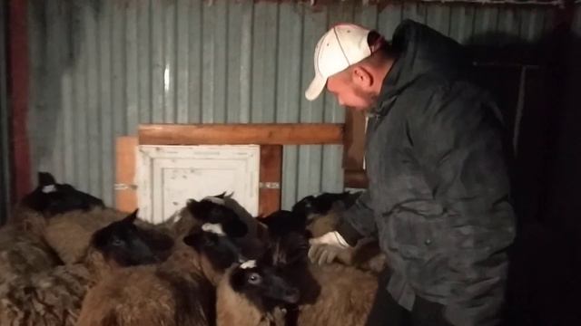 Начало нового проекта! смотреть онлайн