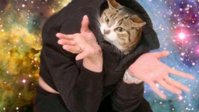 The J&S Show: Fandom Cast part 1 смотреть онлайн