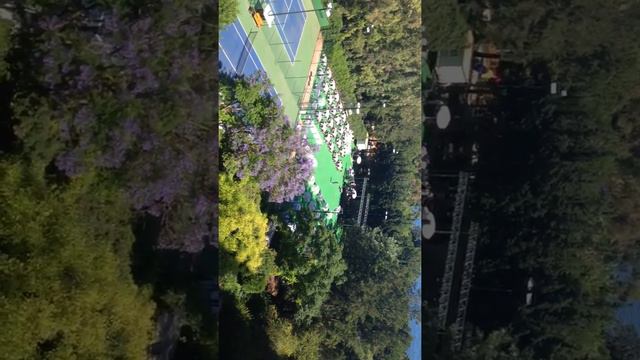 Репетиция бала Сергея Рогожина смотреть онлайн