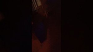 прятки в школе (2 часть)