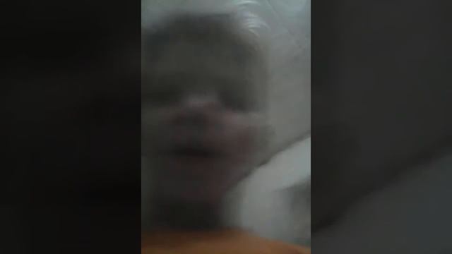 Как правильно мыть кошек? смотреть онлайн