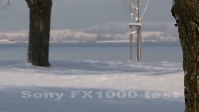 FX1000 Test смотреть онлайн
