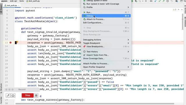 pytest debug смотреть онлайн