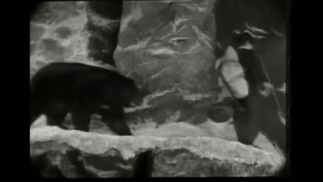 Charlie Chaplin медведь смотреть онлайн