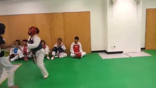 Combate Tae Kwon Do Ximena vs Stefania смотреть онлайн