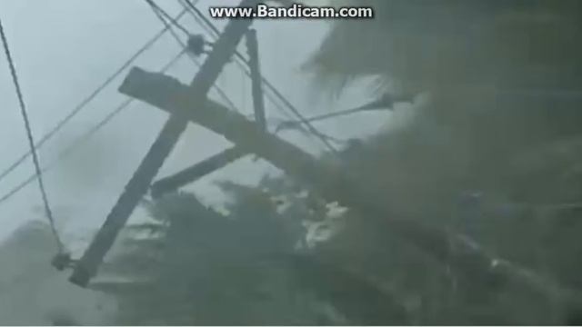 В Ижевске убирают кукурузу под снегом,тайфун на филлипинах