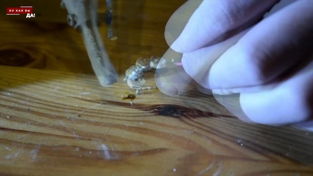 Украшения на новый год 2021, лампа для декора, фото, видео, инстаграм, тик ток. Cвоими Руками DIY смотреть онлайн