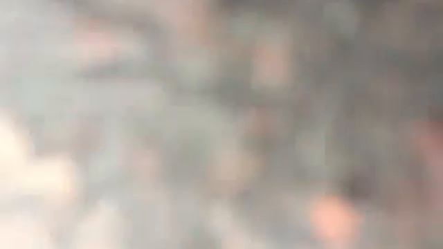Иволга 12 смотреть онлайн