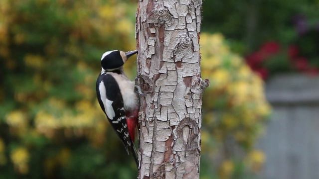 Сборник#15 ПЕРЕЗАЛИВ #разговорысколлекторами смотреть онлайн