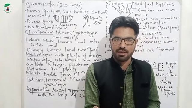 Ascomycota || Classes of fungi || Chapter 7 protista and fungi || Pashto смотреть онлайн