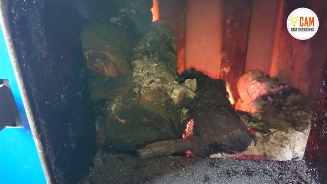 На какой температуре эффективнее топить котел? Тестируем котел Суворов на целых поленьях! смотреть онлайн