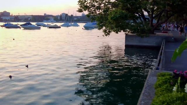Zürich Lake , Switzerland | Zurich Lake in the summer ! Swiss View смотреть онлайн