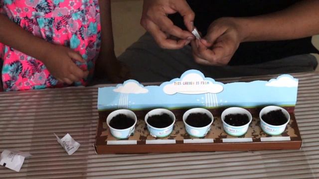 How To Start A Garden From Seed For Kids! Teaching Planting To Kids! Grow Vegetables