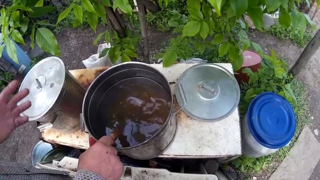 Как сделать сахарный сироп для прикорма. Весенняя подкормка сахарным сиропом. смотреть онлайн