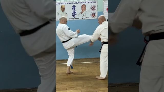 Кёкусинкай / Пинан соно ити / Варианты Бункай / 7 кю / 3-я часть смотреть онлайн