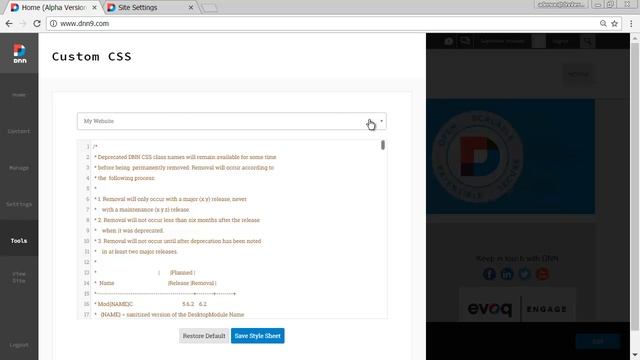 DNN 9 Preview: Custom CSS смотреть онлайн