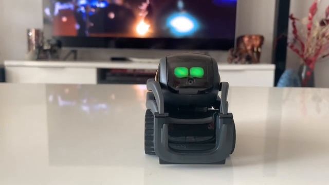 Anki Vector AI Robot